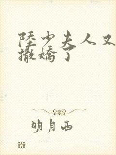 陆少夫人又双叒撒娇了