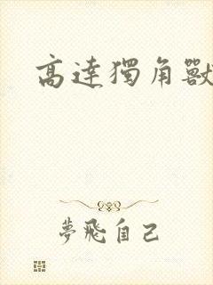 高达独角兽小说