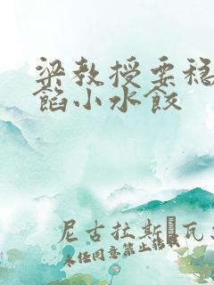 梁教授要稳住肉馅小水饺