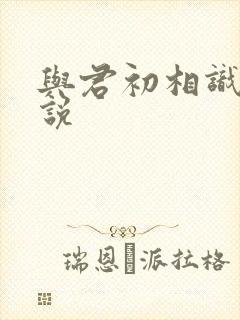 与君初相识 小说