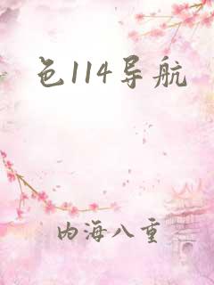 色114导航
