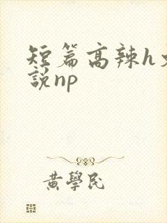 短篇高辣h文小说np