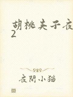 胡桃夹子夜未眠2