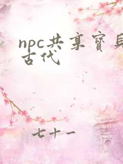 npc共享宝贝古代
