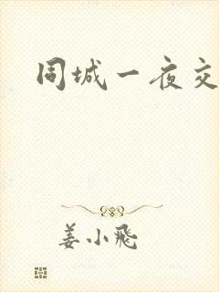 同城一夜交友