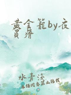 黄金笼by夜很贫瘠