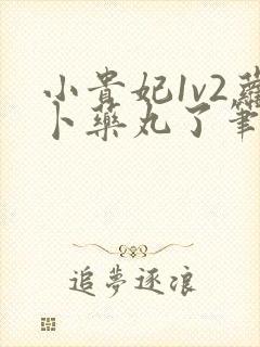 小贵妃1v2萝卜药丸了笔趣阁