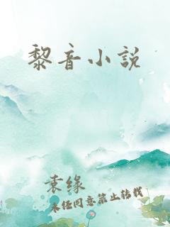 黎音小说