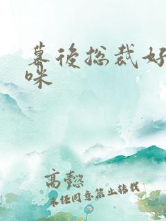 幕后总裁好孕妈咪