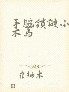 手腕锁链小黑屋木马