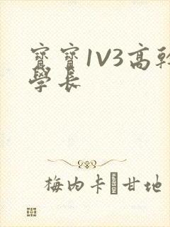 宝宝1V3高干学长