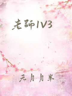 老师1V3