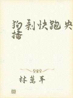 狗剩快跑央八首播