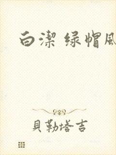 白洁 绿帽风云