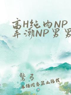高H纯肉NP 弄潮NP男男