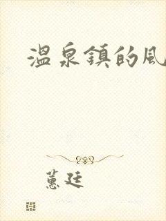 温泉镇的风流事