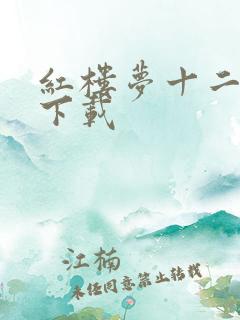 红楼梦十二金钗下载