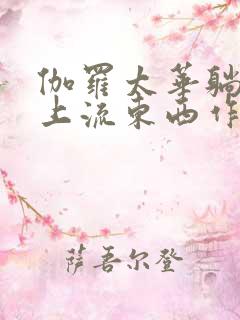 伽罗太华躺在床上流东西作业