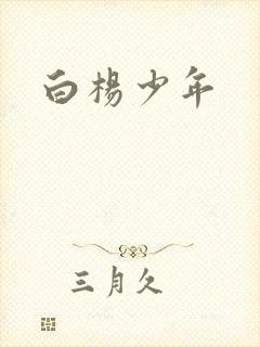 白杨少年