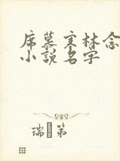 席慕寒林念儿的小说名字