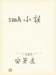 smh小说