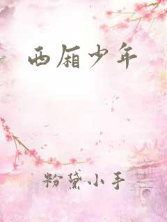 西厢少年