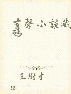 有声小说藏地密码