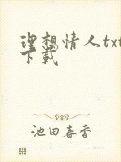 理想情人txt下载