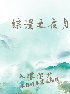 综漫之夜月