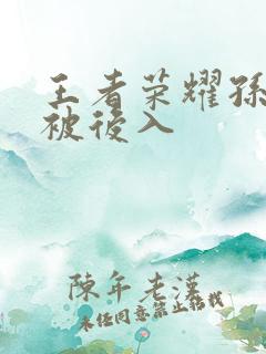 王者荣耀孙尚香被后入