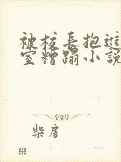 被校长抱进办公室糟蹋小说