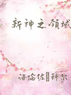 新神之领域