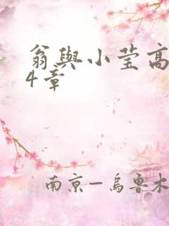 翁与小莹高潮24章