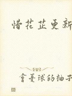 惜花芷更新时间