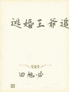 逃婚王爷追逃妃