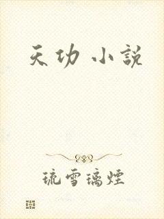 天功 小说