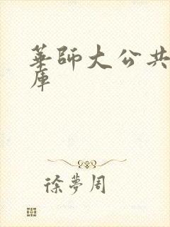 华师大公共数据库