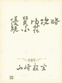 优质rb攻略系统小花