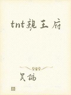 tnt亲王府
