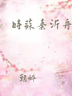 时苏秦沂舟小说