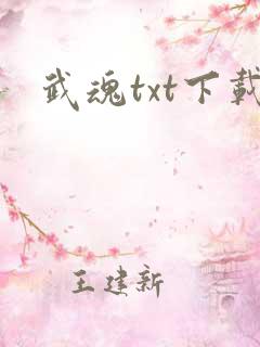 武魂txt下载