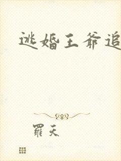 逃婚王爷追逃妃