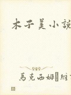 木子美小说
