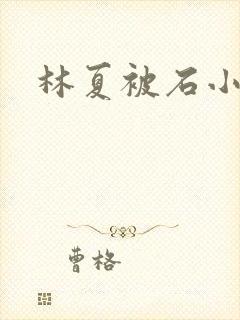 林夏被石小猛