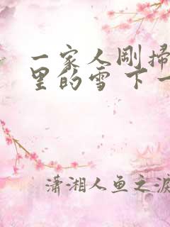 一家人刚扫完院里的雪 下一秒白干