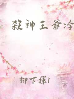 杀神王爷冷情妃
