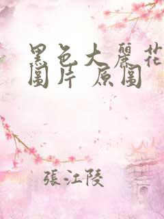 黑色大丽花真实图片 原图