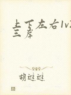 上下左右1v2三岸