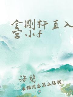 金刚杵直入莲花宫小f