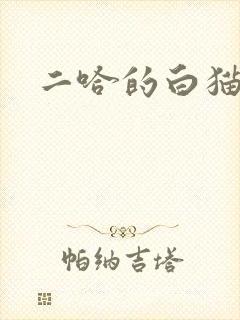 二哈的白猫师尊